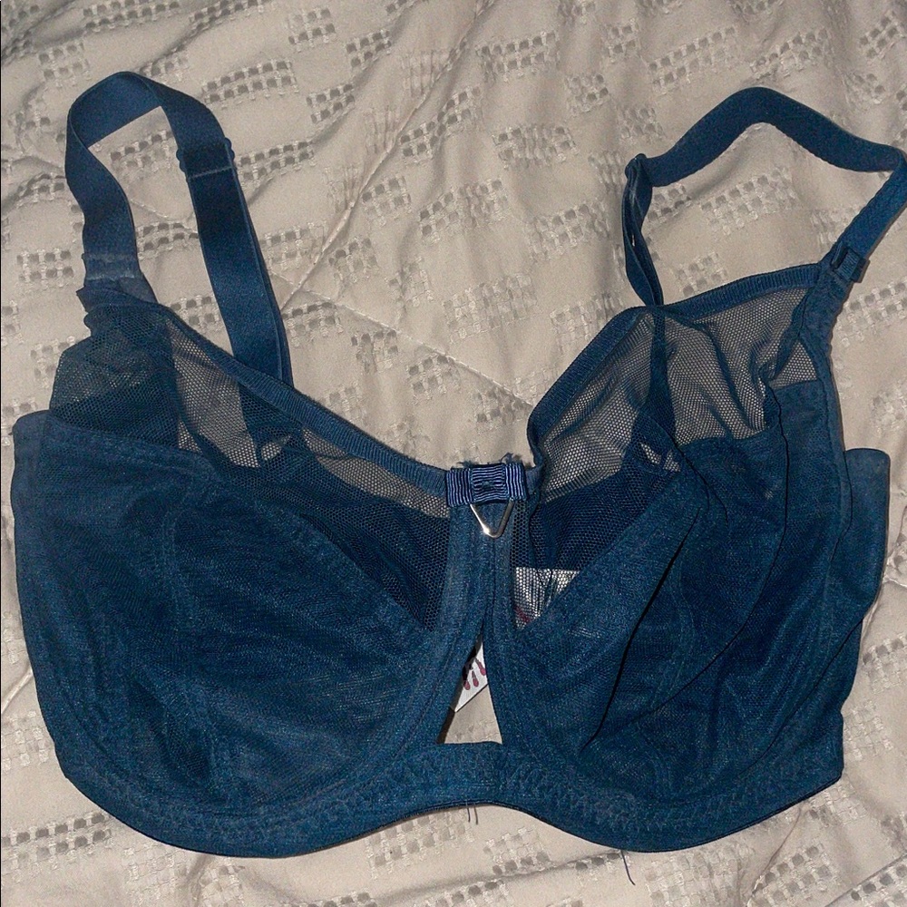 Elegant Blue Sheer Bra